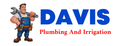 Trusted plumber in LACARNE